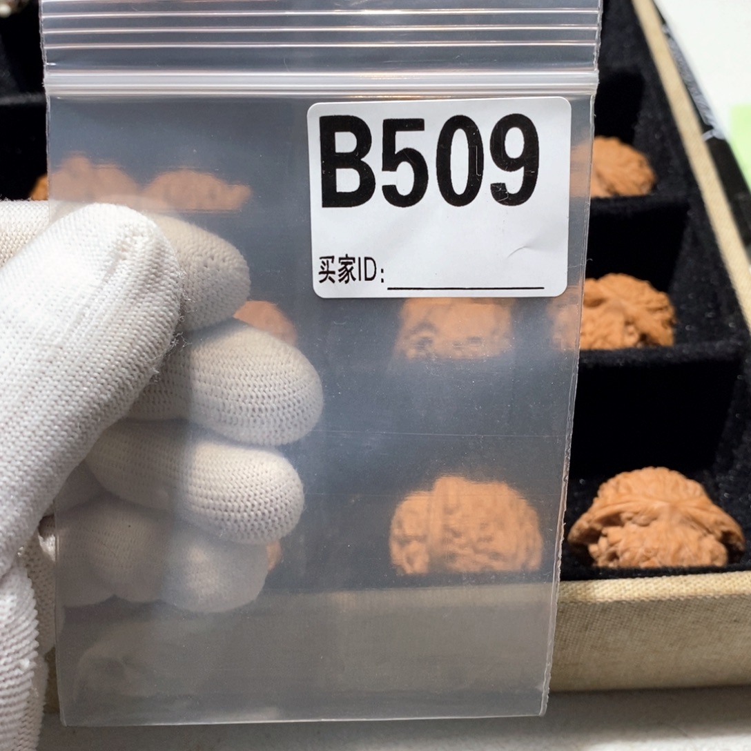 手串文玩核桃B509燕闷40（全）高对