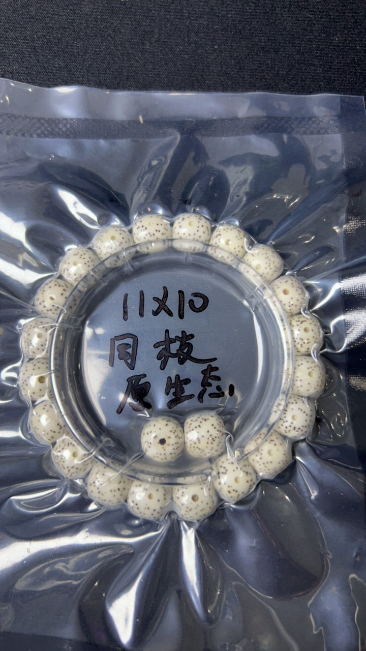 海南星月菩提原生态11✘10单圈