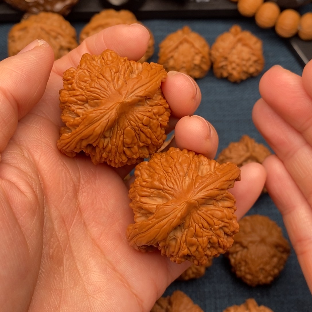 文玩核桃把件45老树狮虎粗筋款