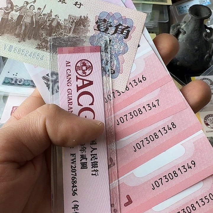 全新的……………………全新的