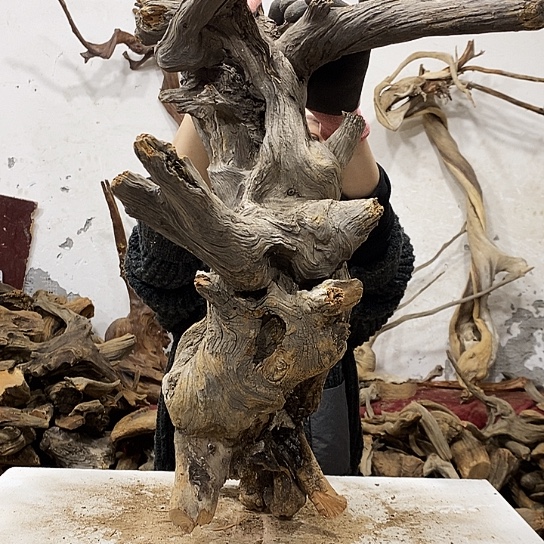 熟****柏木我们都是好孩子