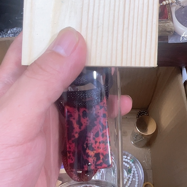 用***9香榧木好好啊好好的好好