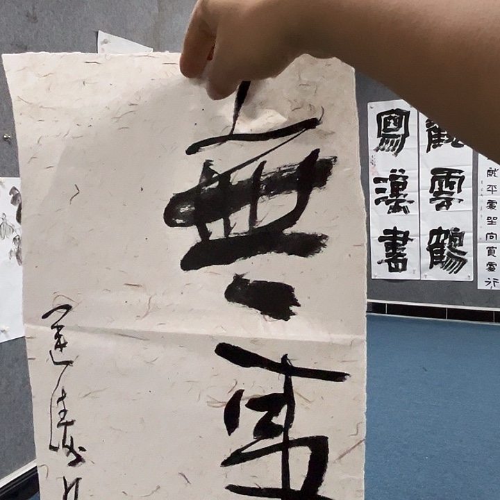 风***子书法杨运涛书法作品软片