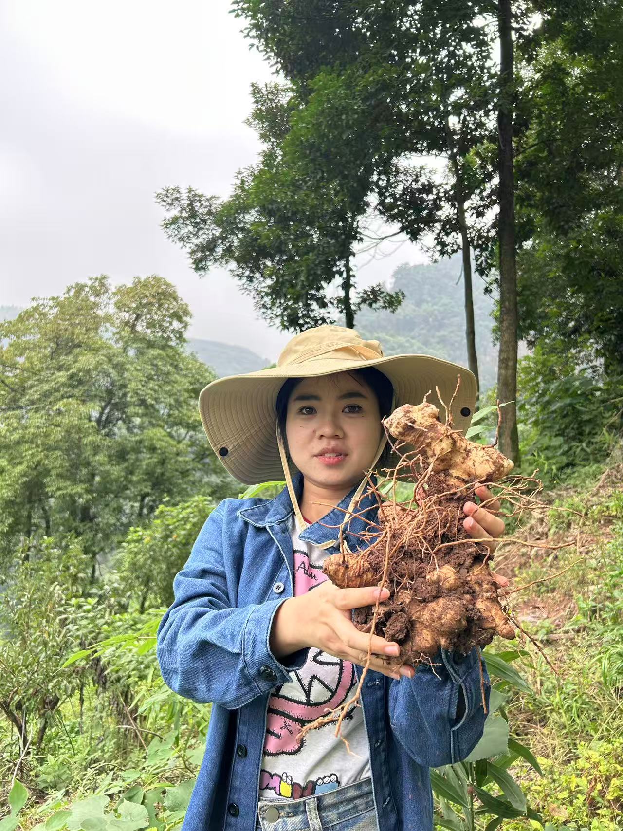 【小闵推荐】山野多花  九蒸九晒九露 干净无沙  可搭配玉竹  熟地 