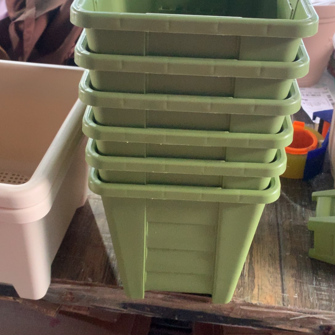 红陶D**D19口果绿无托6个