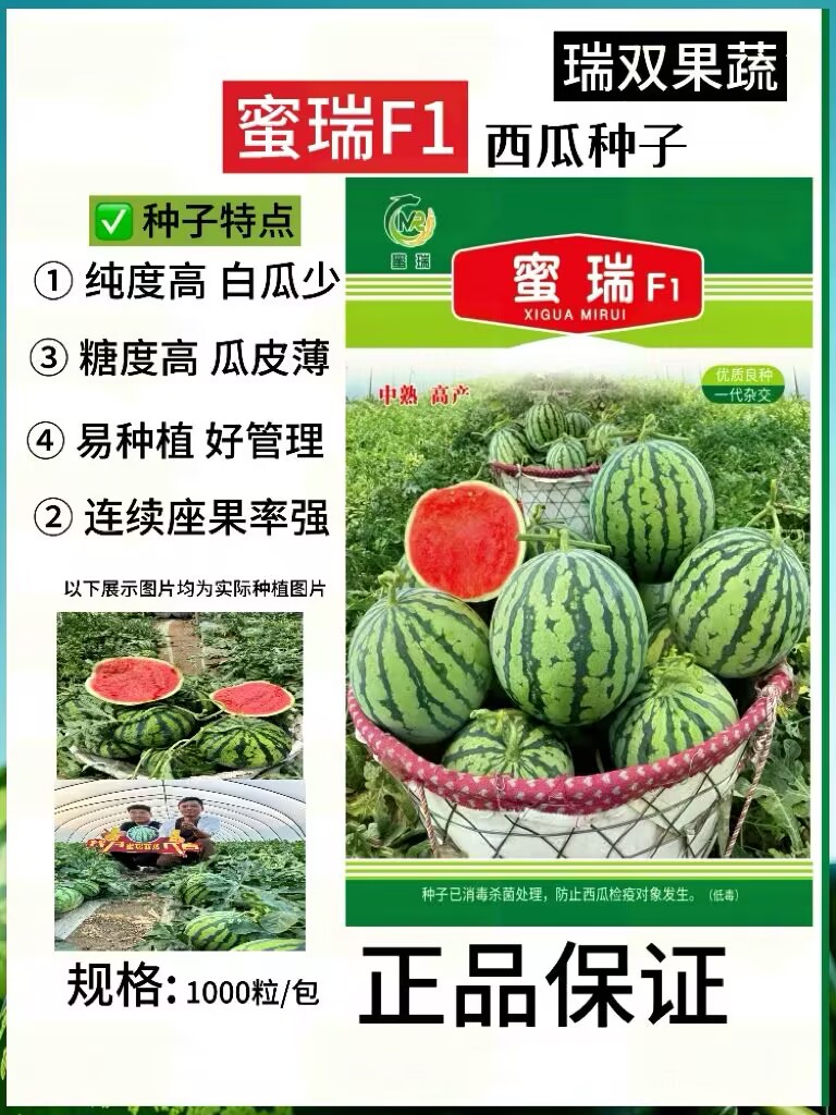 蜜瑞F1西瓜种子 纯度高 抗高温  高糖度 瓜皮薄 高产量丰收