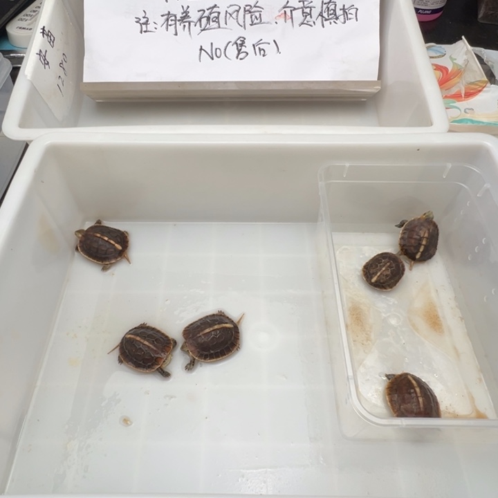 v***安安安安安安心心