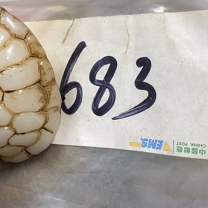 万***意德宝文玩专属链接