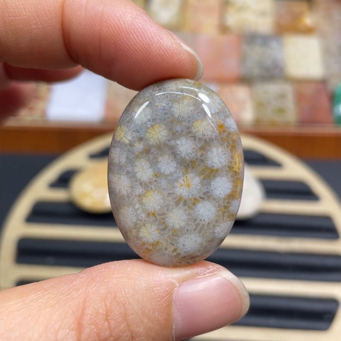 硅化玉未镶嵌颈饰k29