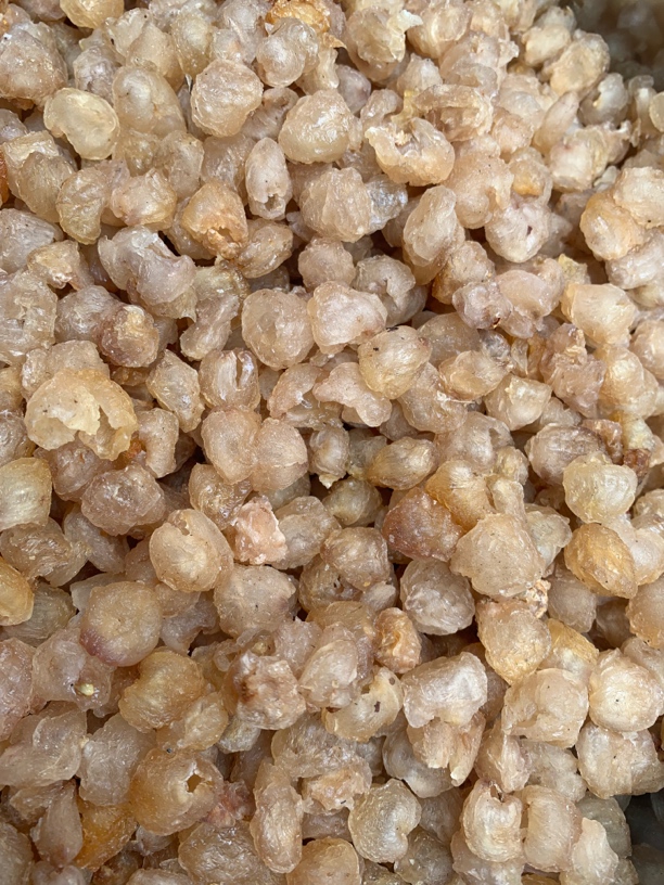 云南土特产，，桂园土特产