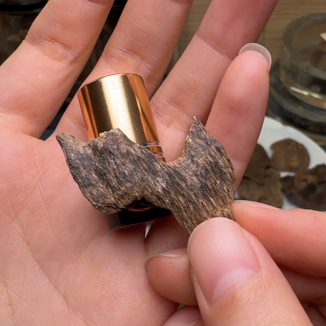 木海南大山古法油1克+虫漏样板