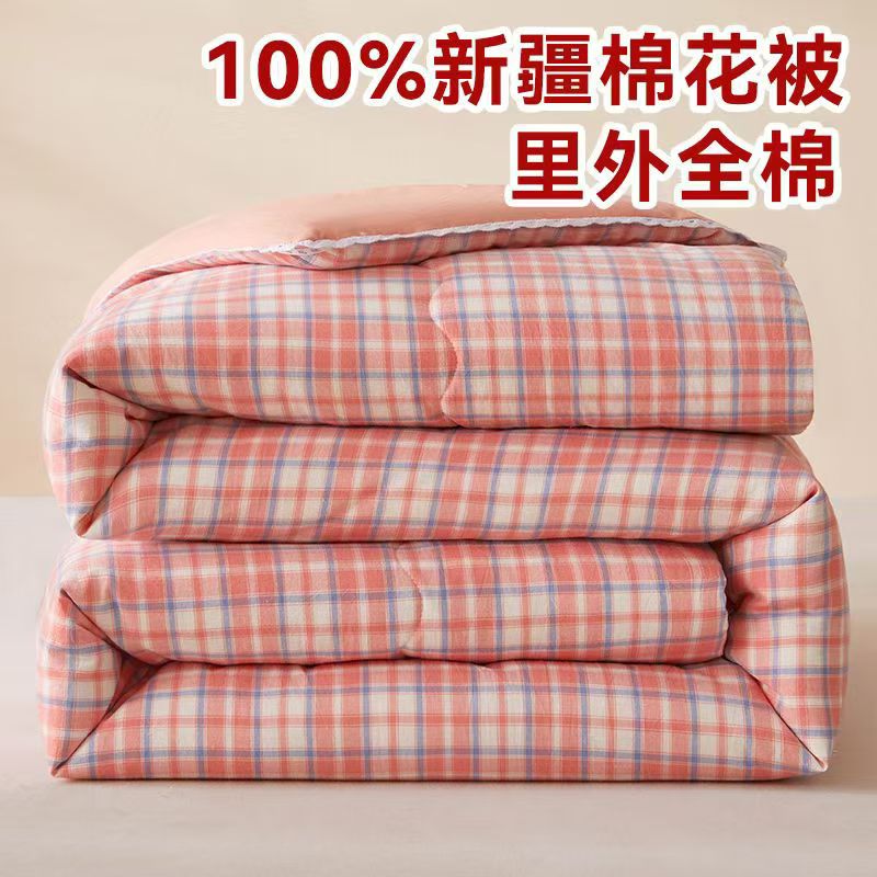 清100%里外纯棉新疆棉花被春秋被冬被加厚全棉空调被芯单人宿舍