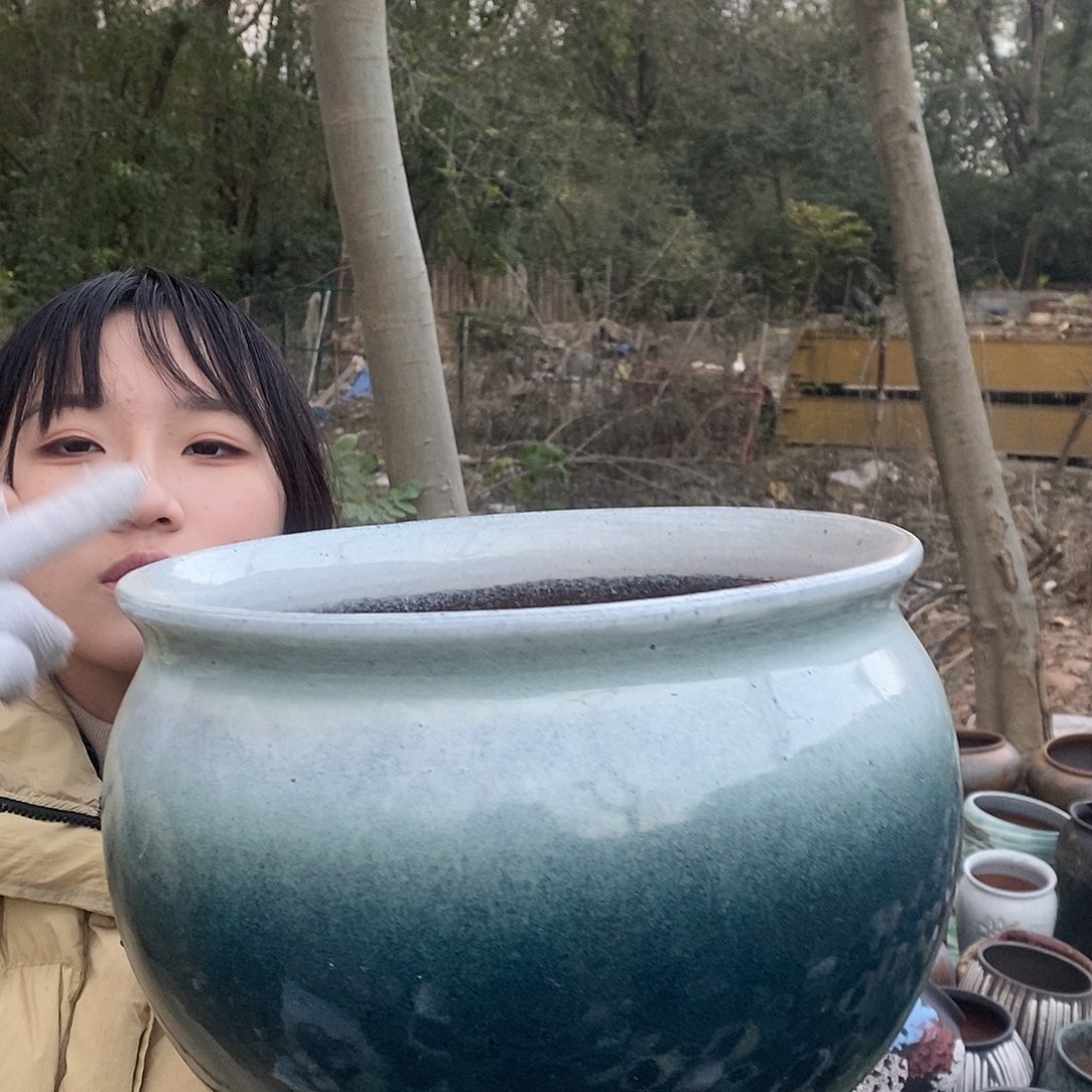 瑕疵32/23（hfhhghh