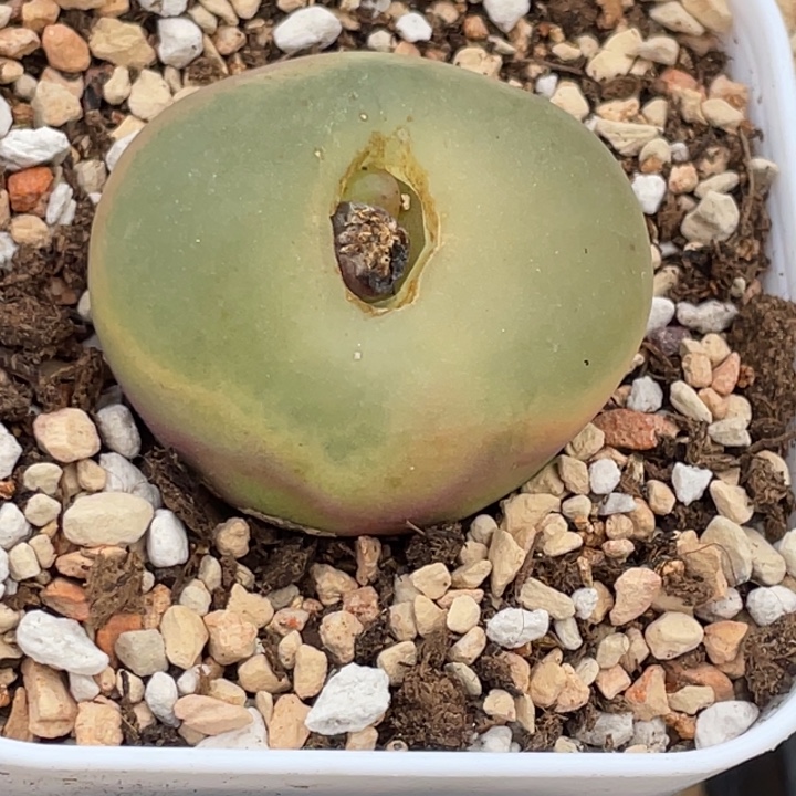 48888898888888888888888