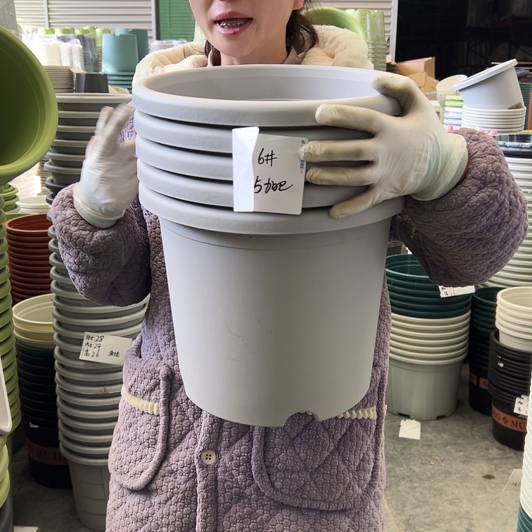 四季盆6#灰白5个无托