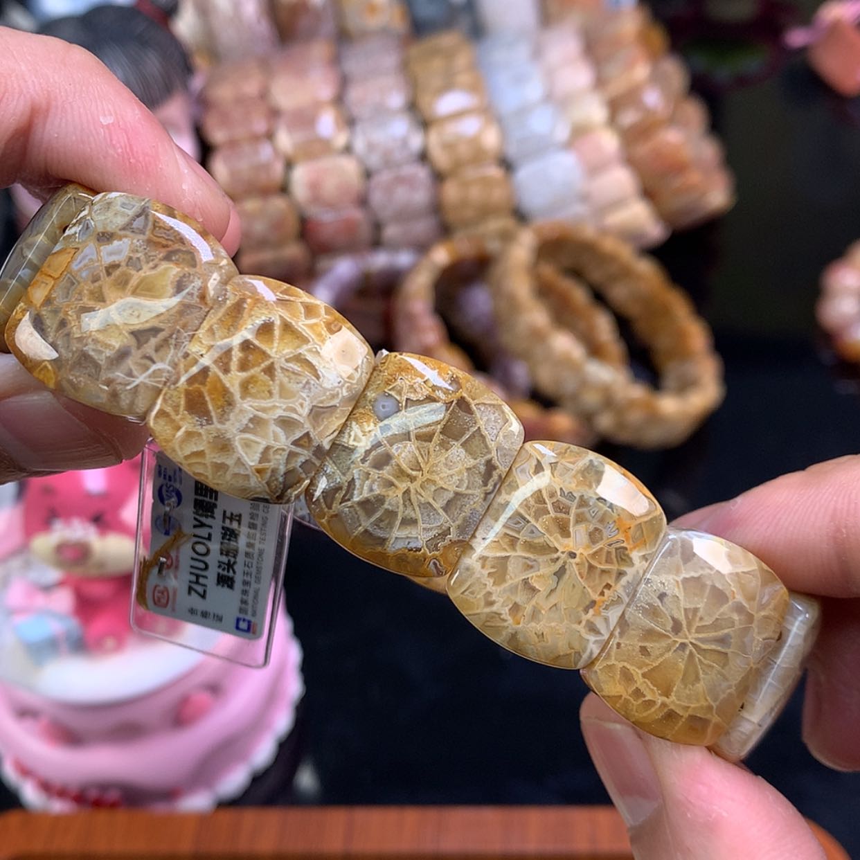 【闪购商品】颈饰未镶嵌硅化珊瑚（珊瑚玉）9号万花筒