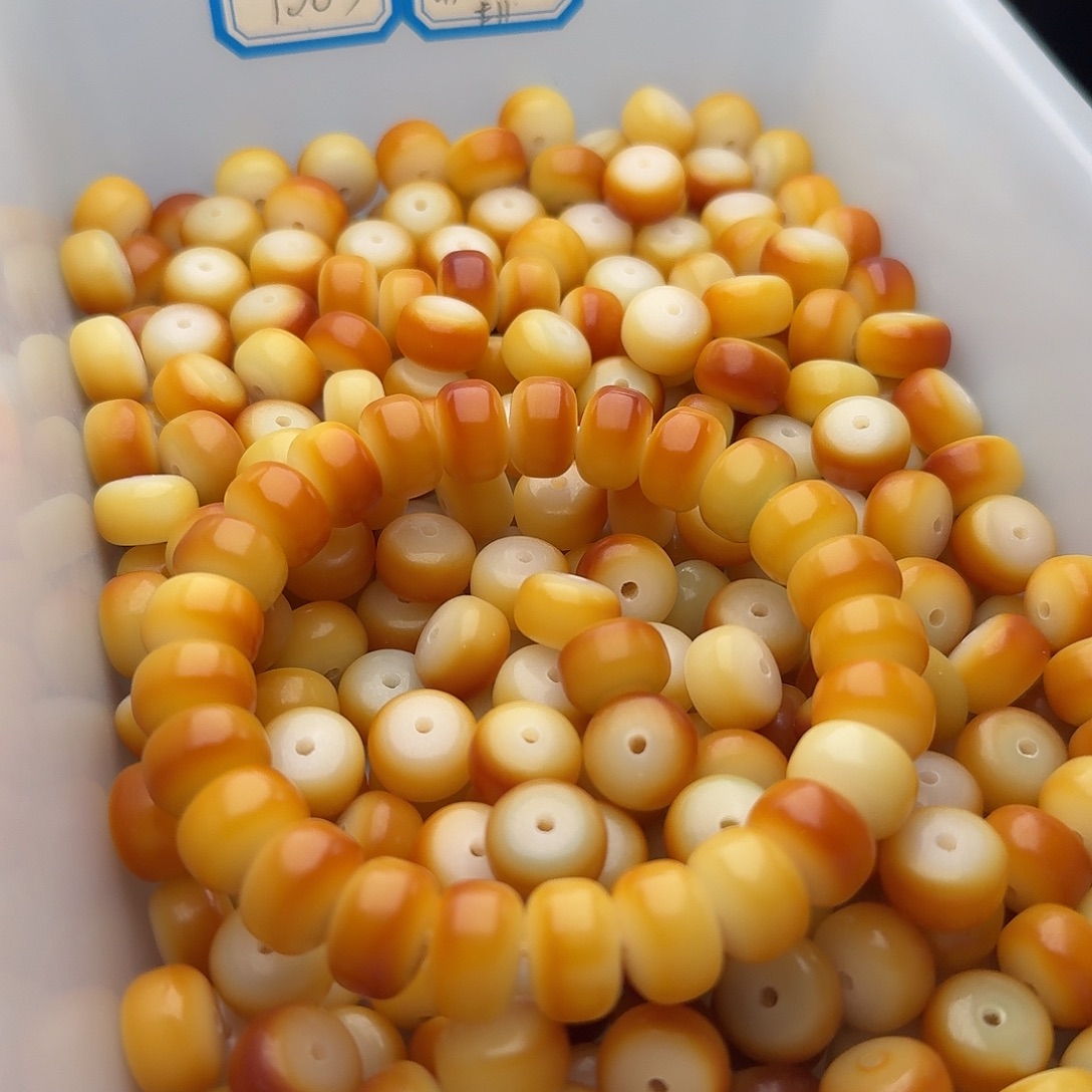 吊坠菩提根/象牙果50颗蛋黄12药片