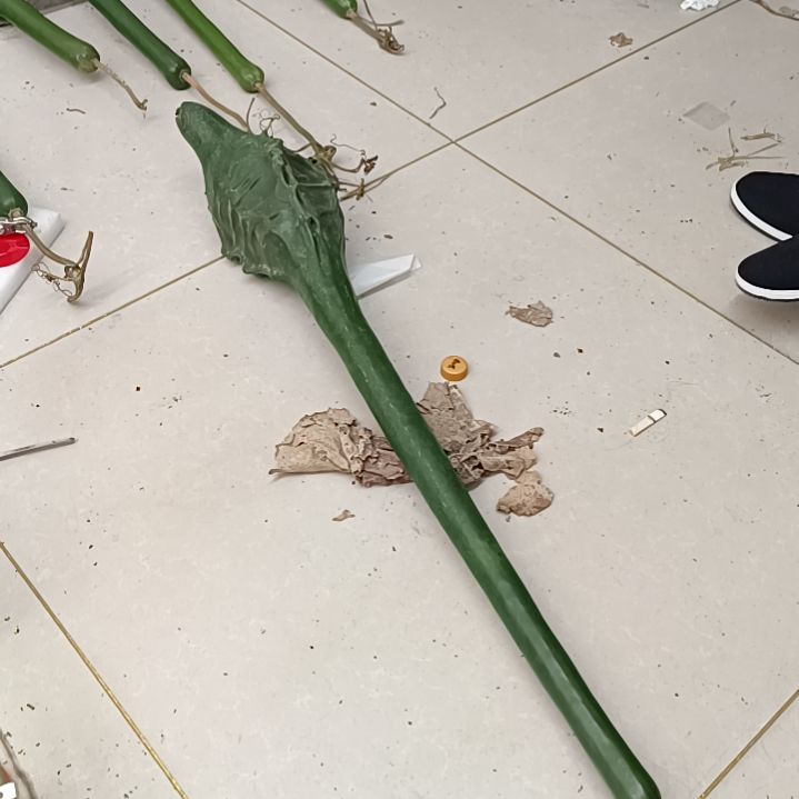 李***笑木鹤首葫芦鹤首葫芦直杆子