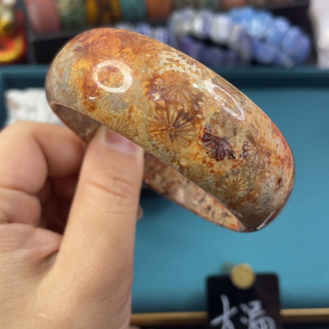 未镶嵌手镯硅化玉