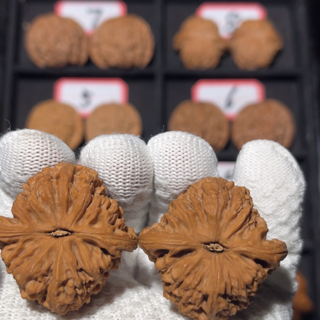 神***明文玩核桃吊坠04秦皇岛山地果全品