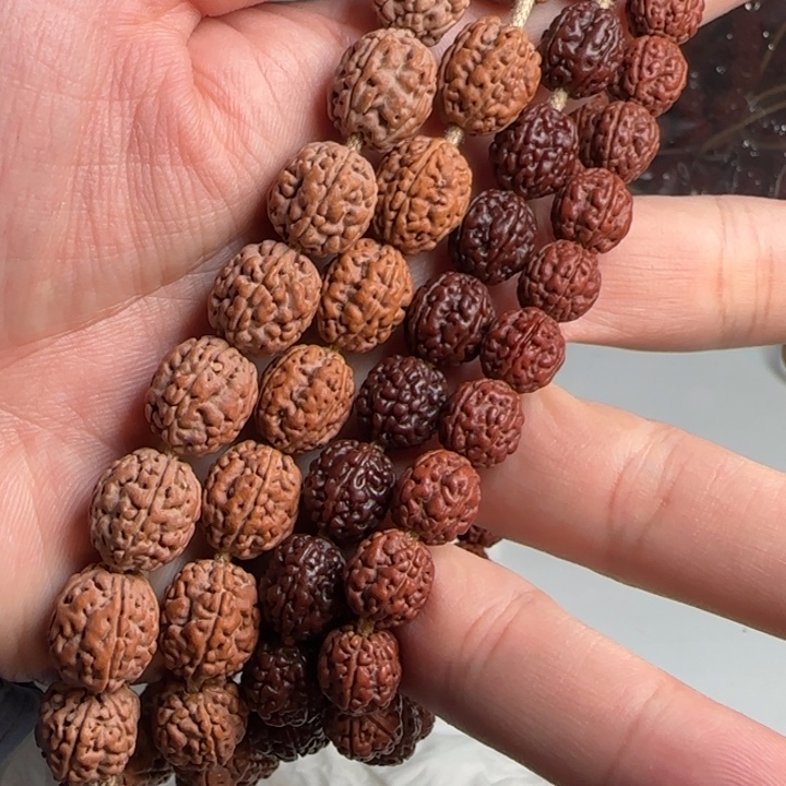 金刚菩提吊坠一代龙终结者12左右