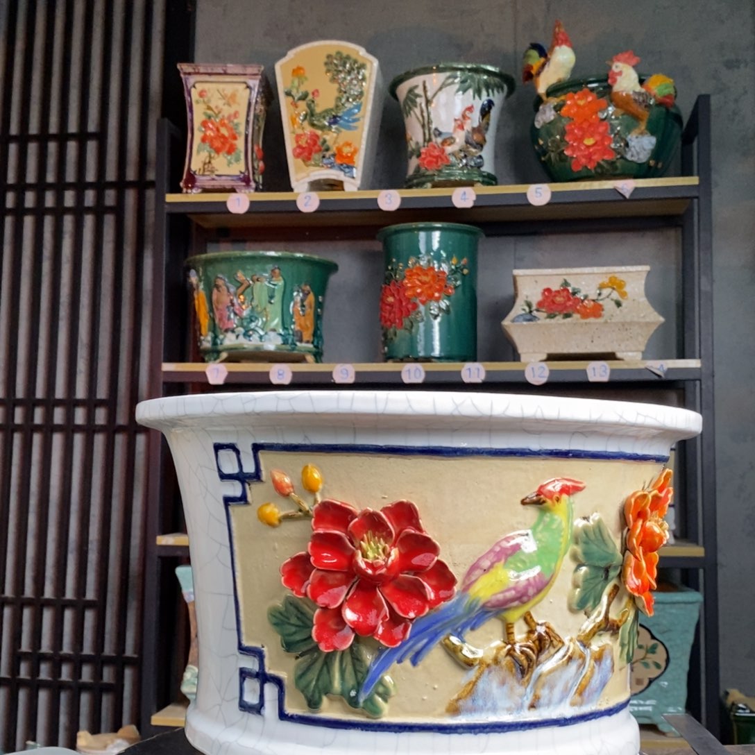 奇***峰29元旦福利加圆盆