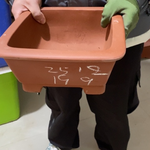 紫砂花盆情***缘自销自销