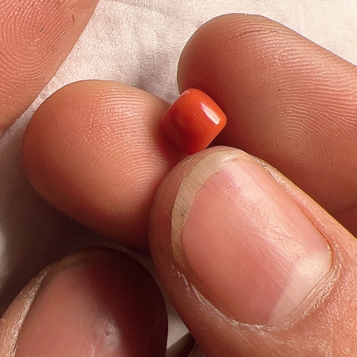 香榧木在家了一个