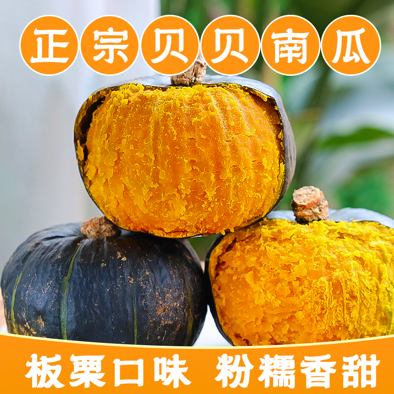 正宗贝贝南瓜粉糯香甜细腻板栗味新鲜美味适合孕妇宝宝辅食代餐