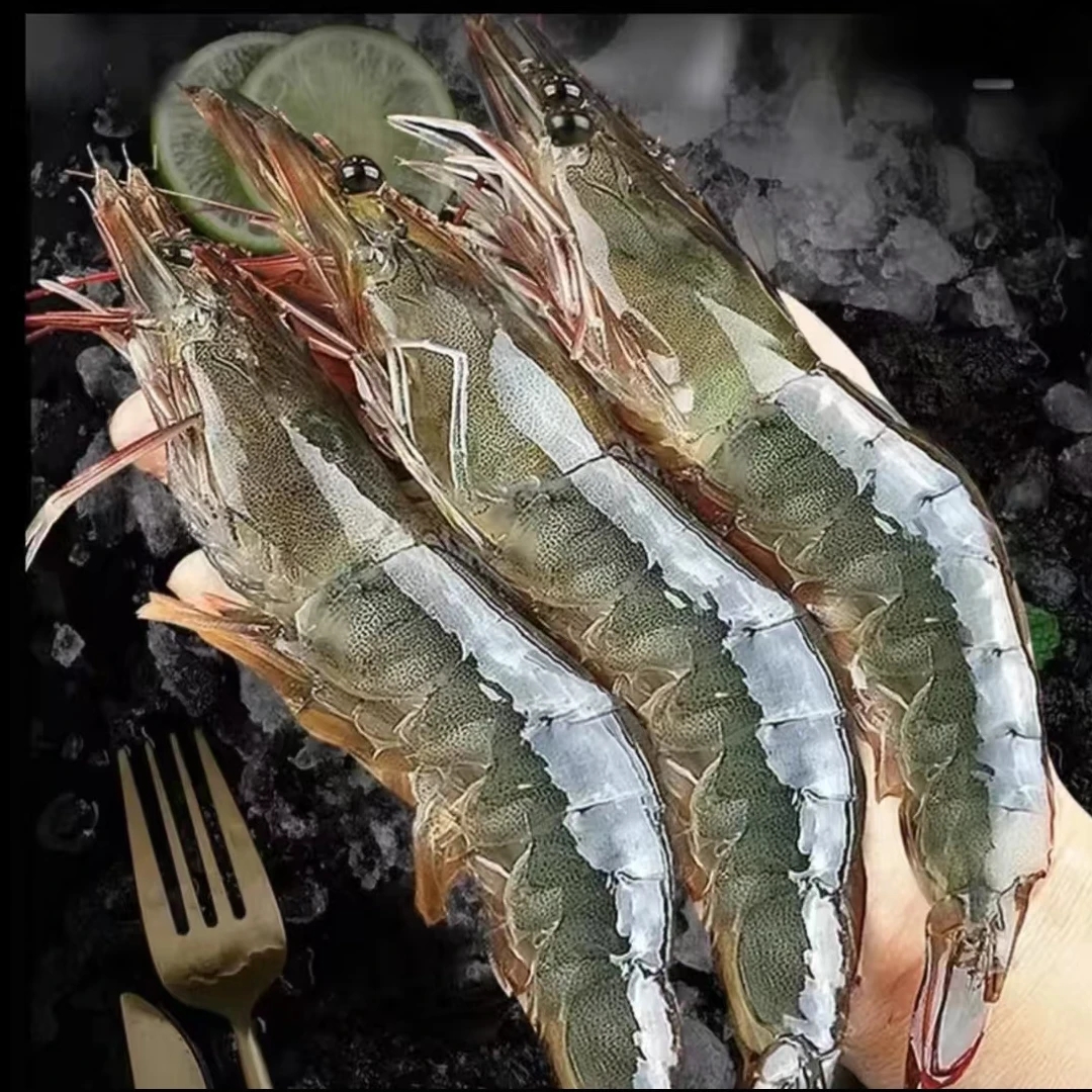 DT【青岛大虾】肉质鲜嫩大个头海水大虾单只15~18cm一盒4斤40~50只海鲜