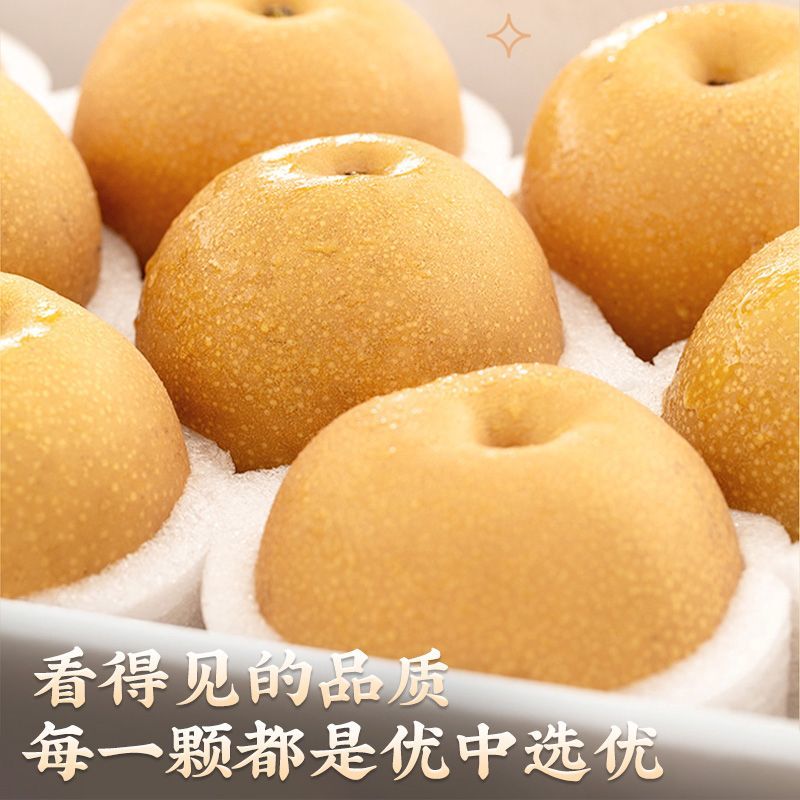【恩泽严选】山东莱阳正宗秋月梨脆甜多汁新鲜应季水果产地现摘现发