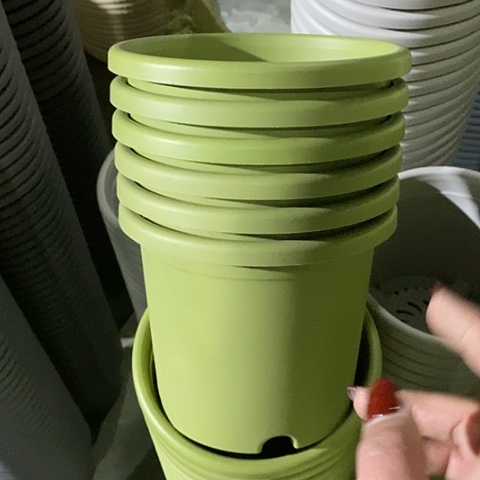 树脂四季2号6个无托果绿