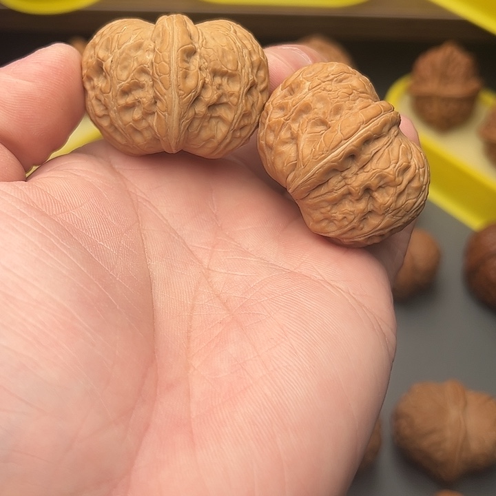 42尺矮桩全品元宝