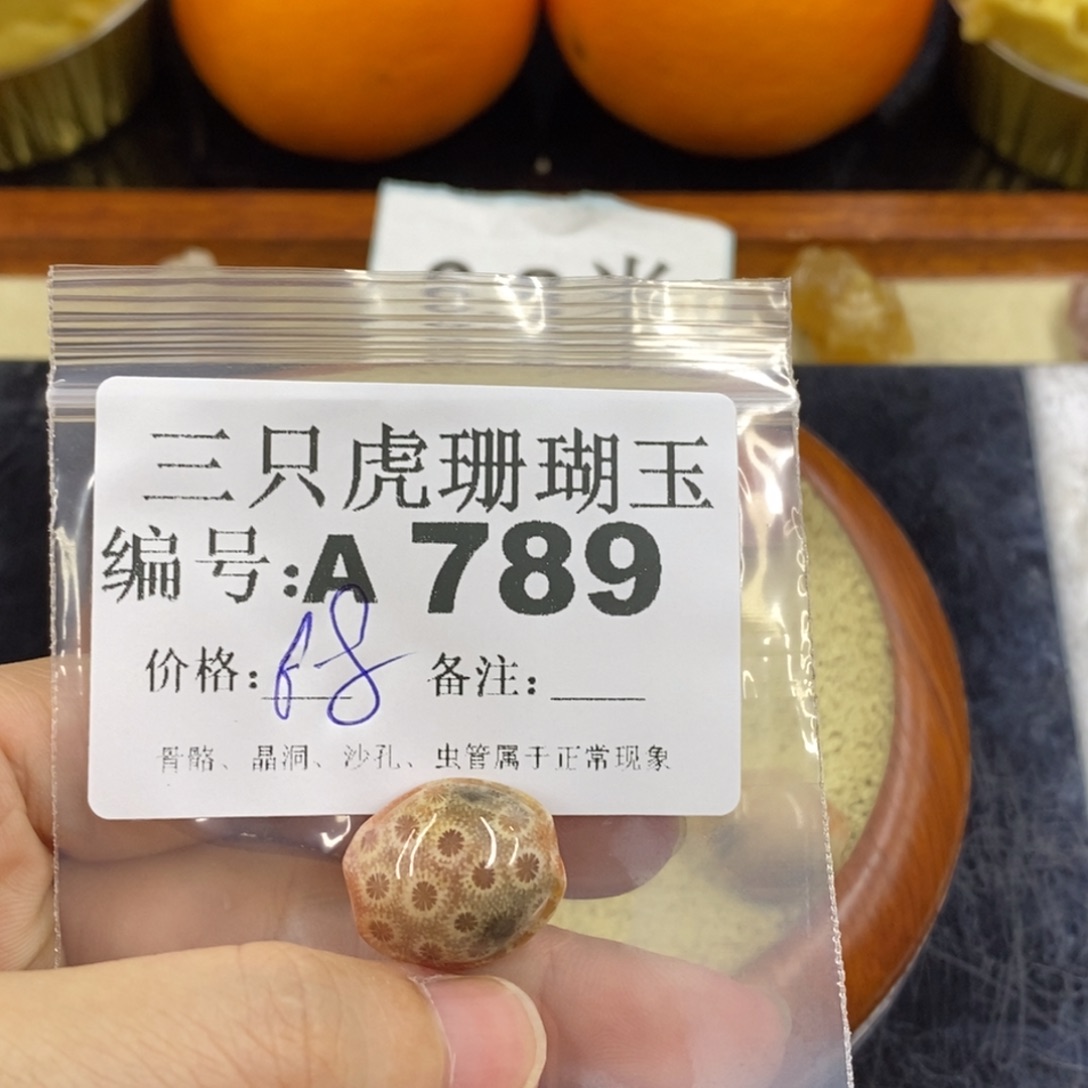 硅化珊瑚（珊瑚玉）1未镶嵌农**姐