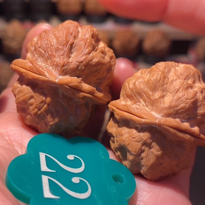 木质类粗筋血舍利39尺寸