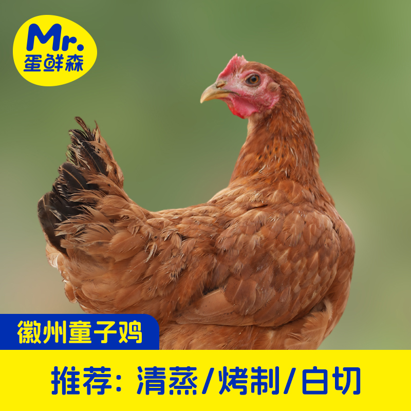 蛋鲜森徽州童子鸡三只装单只800克谷饲喂养净膛
