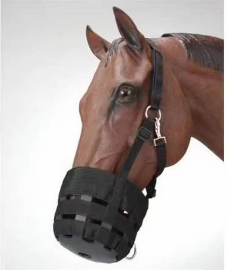 马嘴套马具龙头调节防咬马笼头全套马术用品