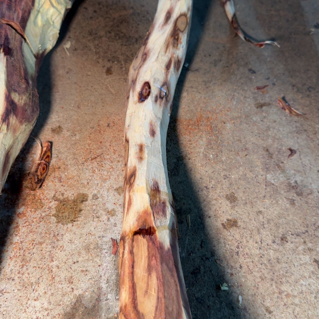 眼****你海南黄花梨木料12