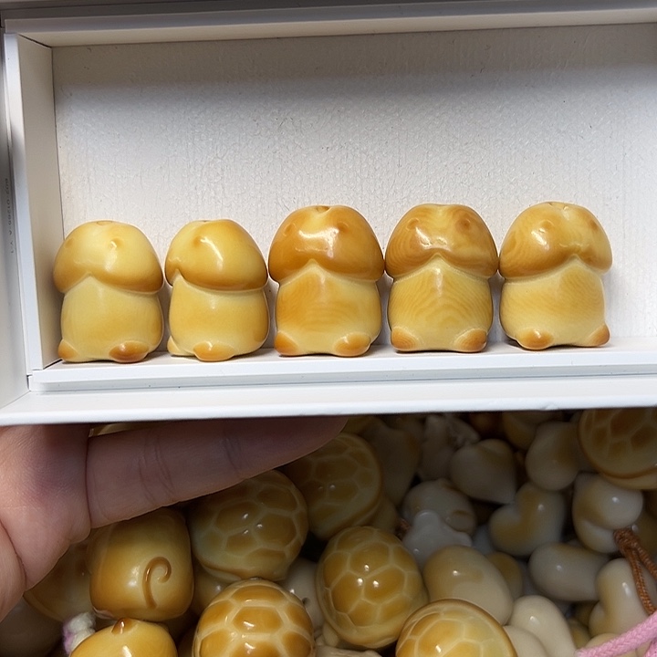 吊坠菩提根/象牙果K26-27 全品丁丁通货给 2 颗不退不换