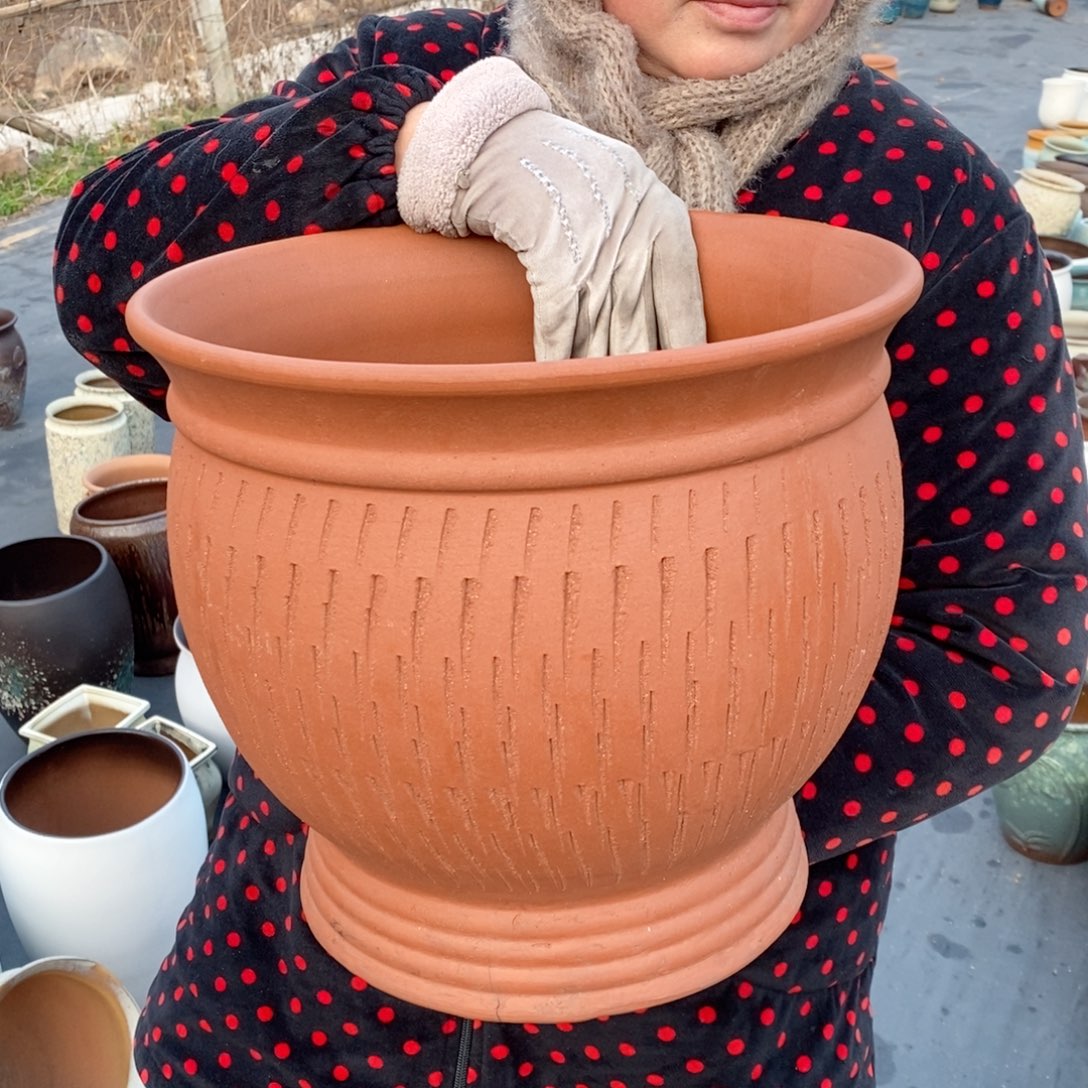 红陶口31高29～～～