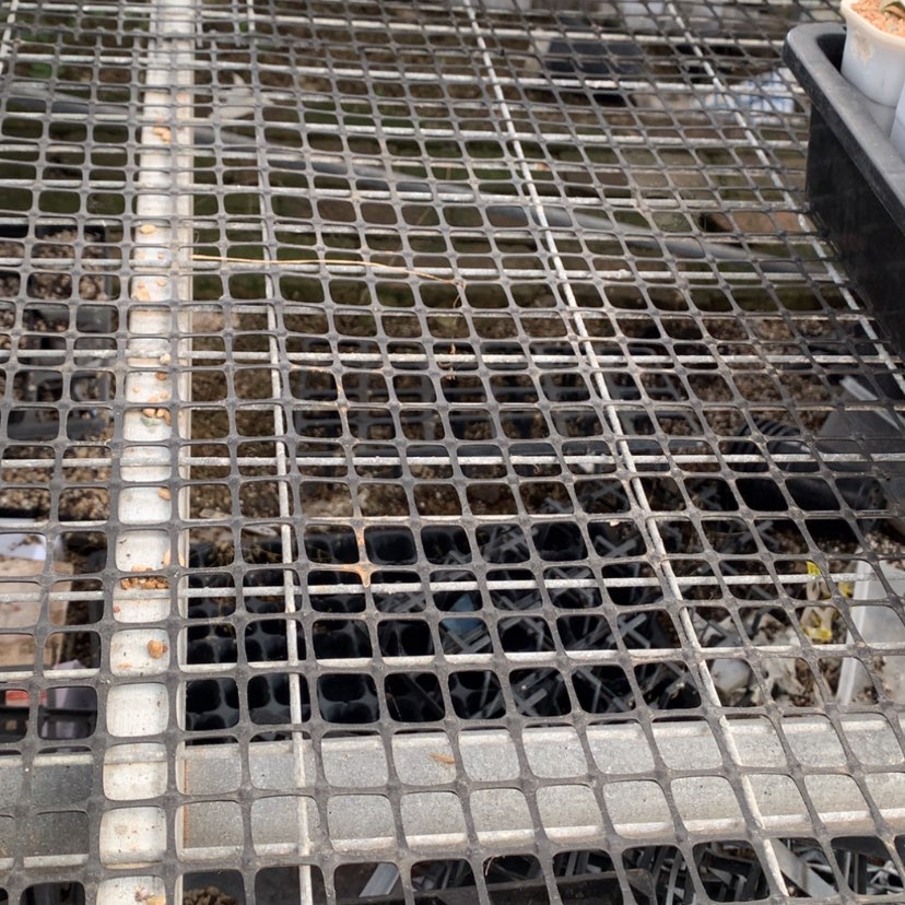 【闪购商品】11111111111