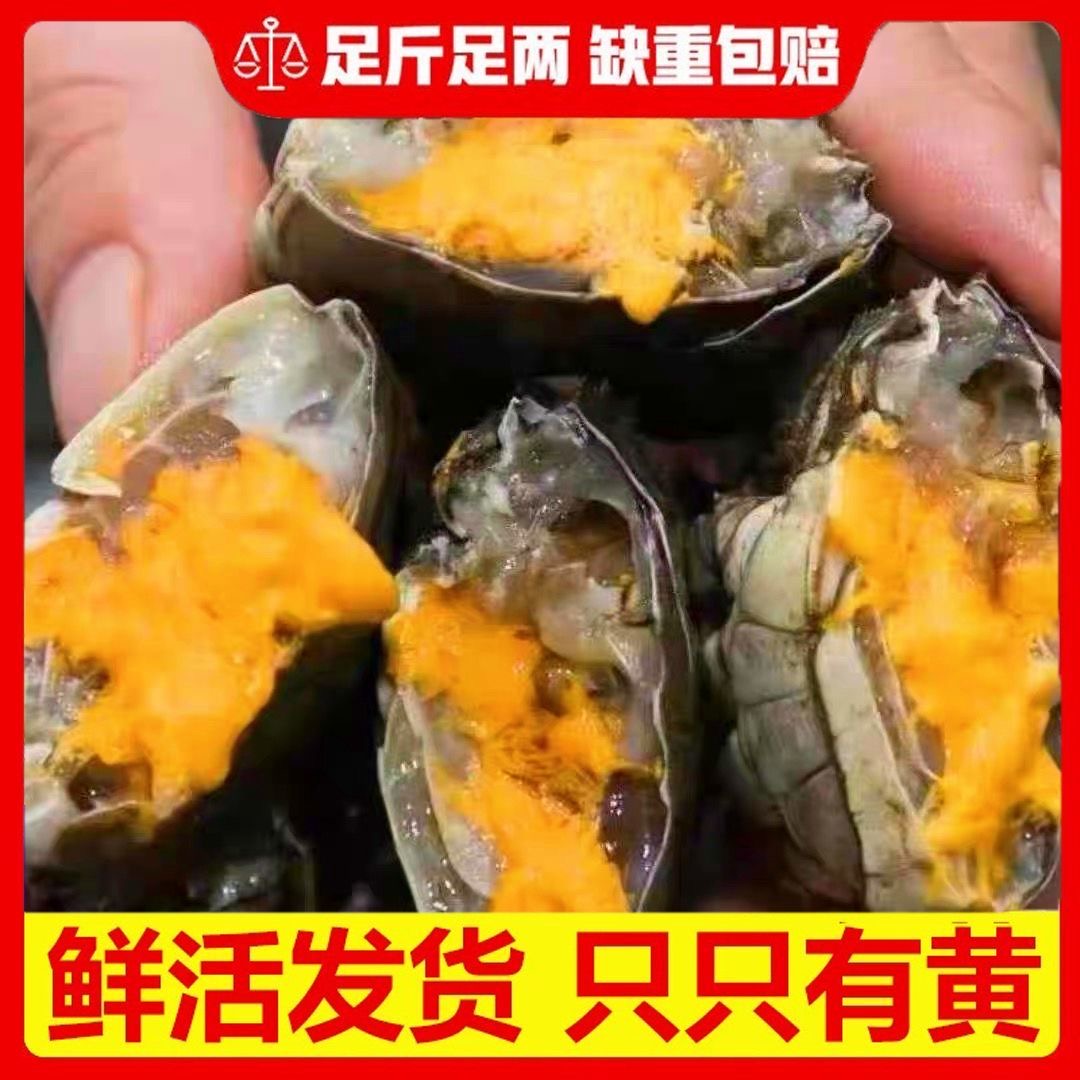 【六月黄螃蟹】8只螃蟹青蟹6送2单只80-100g青蟹香辣蟹带蟹黄蟹肉蟹黄零食新鲜精品