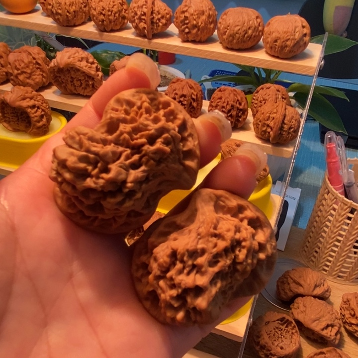 鸳鸯鸟等鸟类为主要