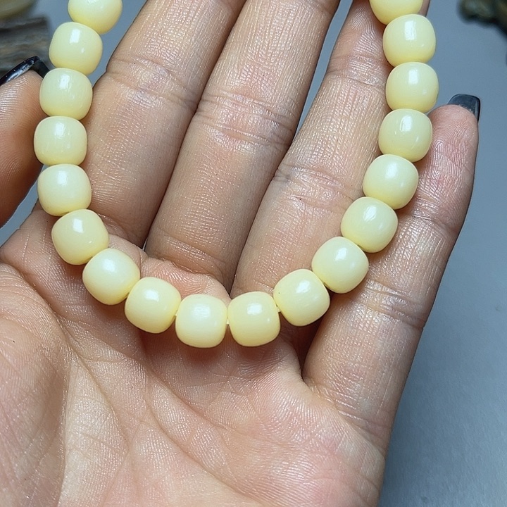 大果紫檀（缅甸花梨）