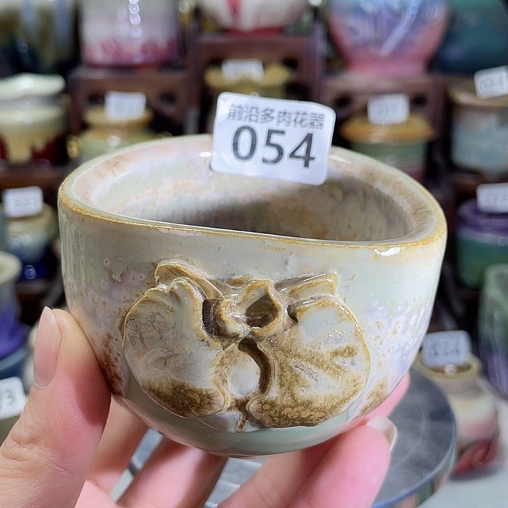 狼盆内口径7高度5