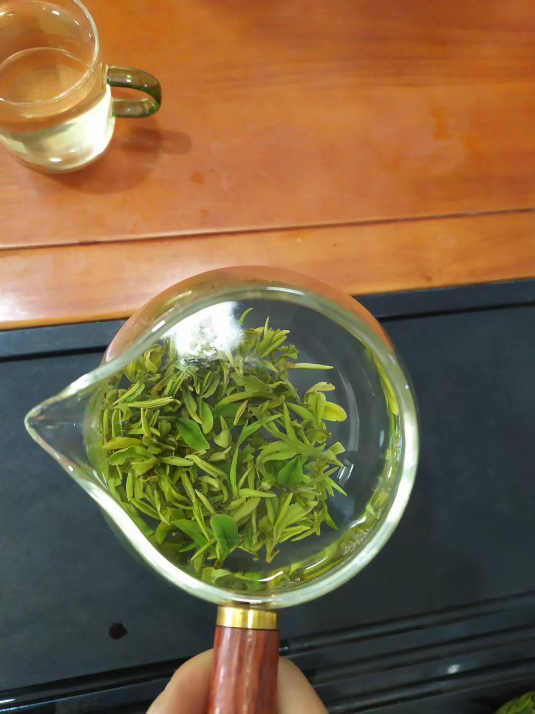 日照绿茶四月份头采