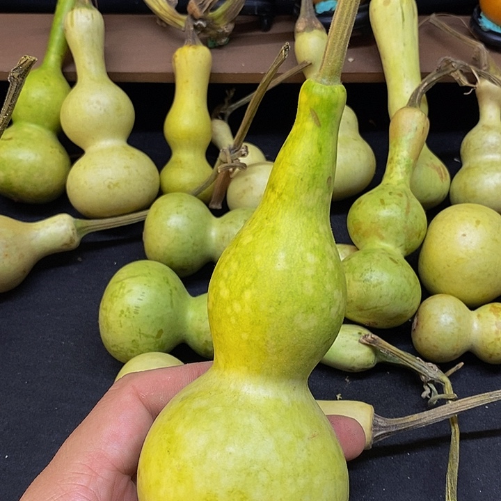 ?*长嘴哈哈哈哈哈哈哈哈哈哈哈哈哈太