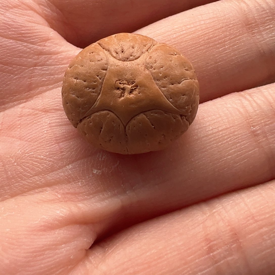 凤眼菩提吊坠五星尺寸19厚度13.7