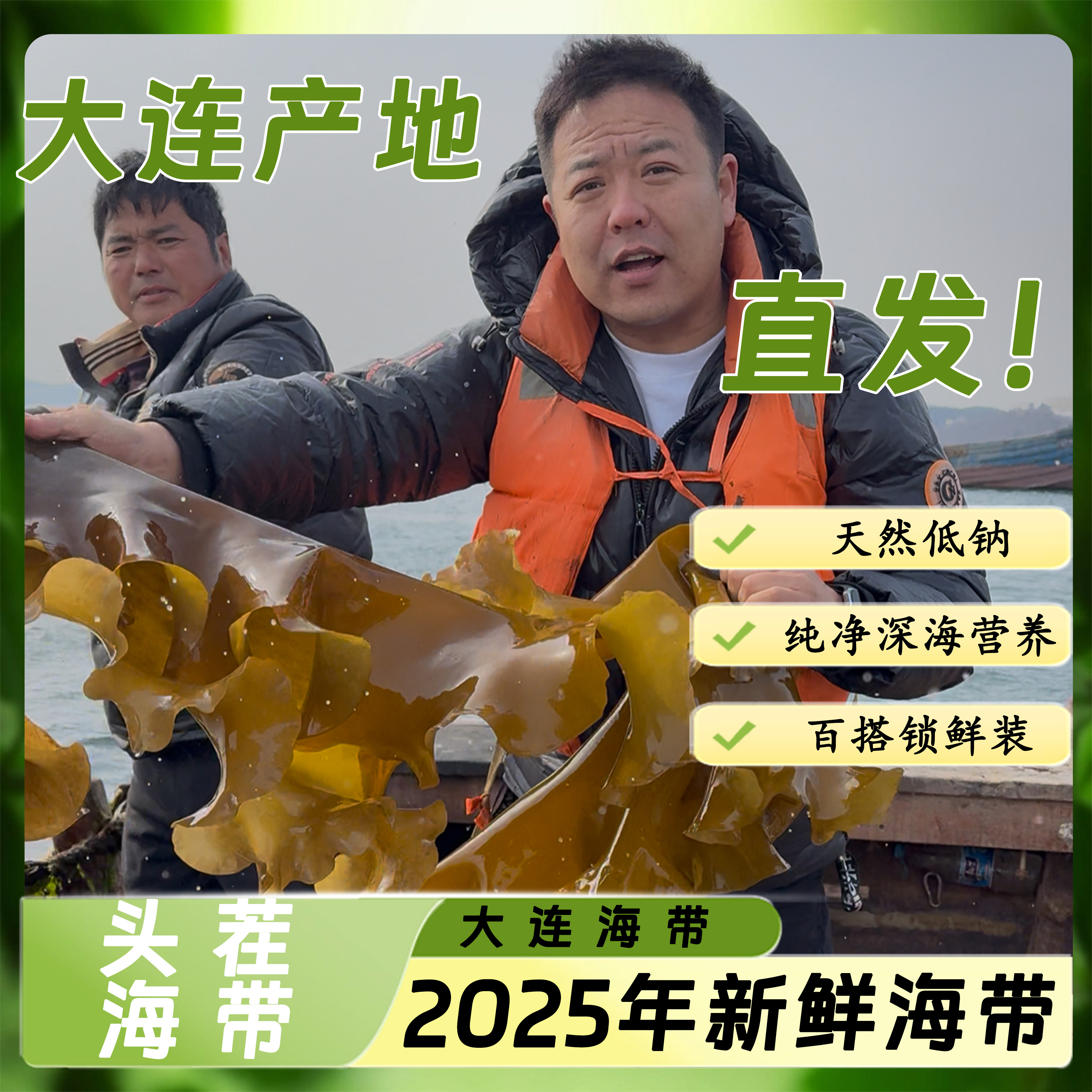 盐渍整颗海带2.5kg/带箱五斤(净重4.6斤左右)