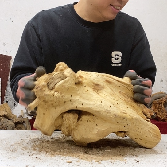 小***倩柏木我们都是好孩子